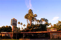Saga Motor Hotel Pasadena